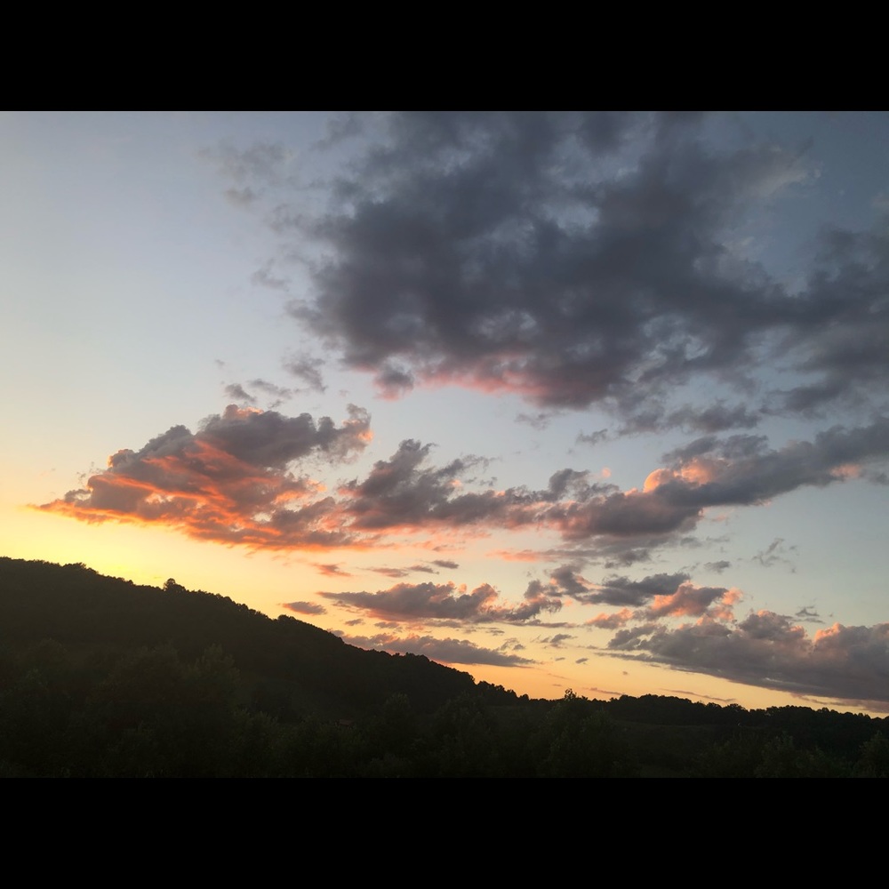 Meet your Posher, Kasey